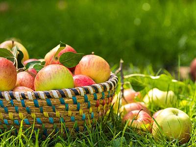 农业物联网工程技术智能管理系统研究