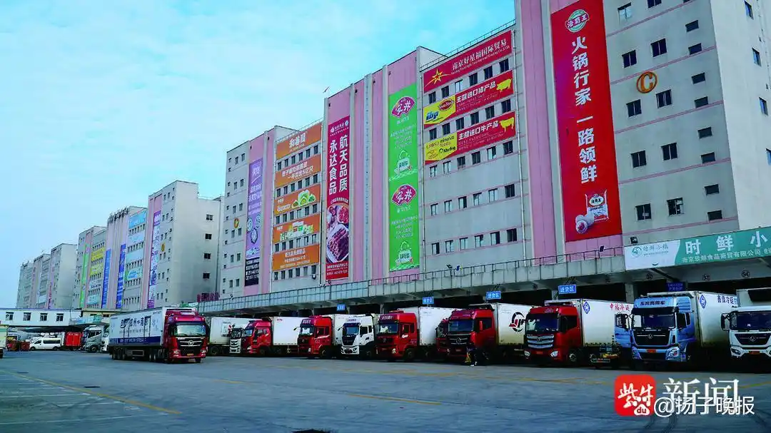 中福冷链打造长三角品质“大冰箱”