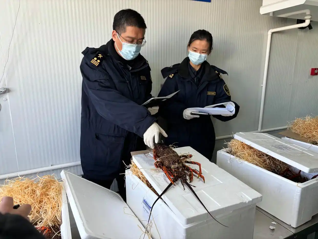 首都机场迎生鲜水果进口高峰