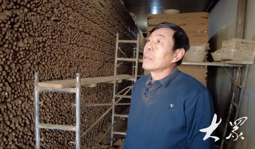 莘县白玉山药覆土入冷库冬眠锁鲜静候好价