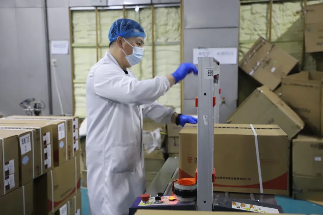 绿丰泉牛羊冷链加工中心订单火爆忙生产