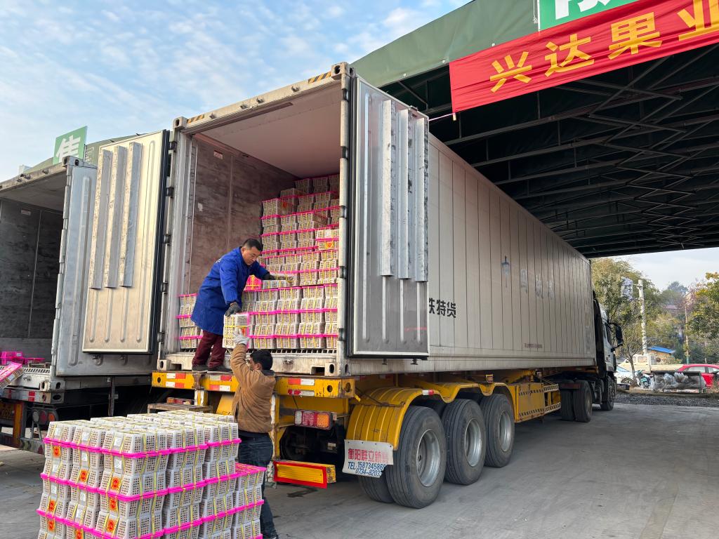 “东南亚水果快线”冷链物流开进不起眼的山区小城