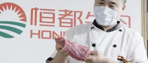 恒都牛肉智能养殖