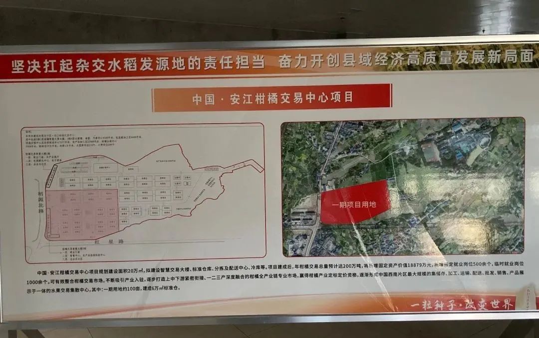中国·安江柑橘交易中心冷链物流设施项目
