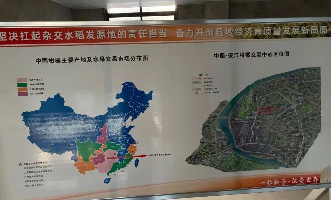 中国·安江柑橘交易中心冷链物流设施项目