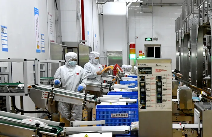 遂平县农产品深加工企业全产业链体系