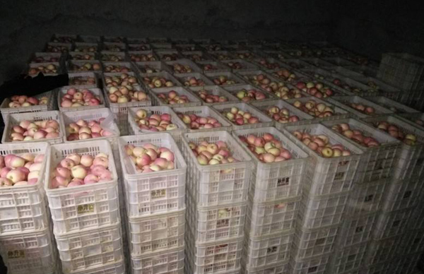 被困在冷库的苹果,如何突围?