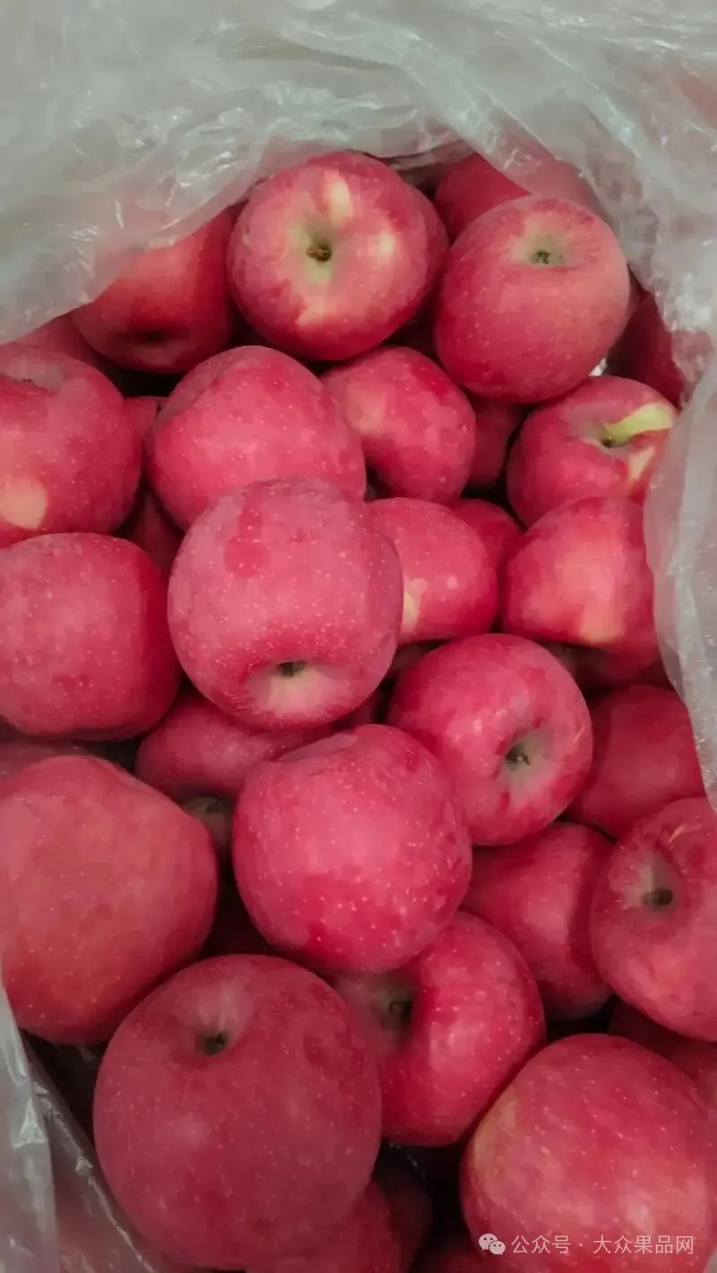 冷库苹果涨到6.00元/斤,元旦前后冷库红富士苹果价格预测