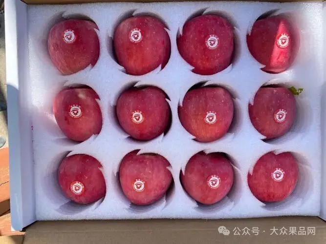 冷库苹果涨到6.00元/斤,元旦前后冷库红富士苹果价格预测