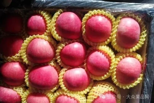 冷库苹果涨到6.00元/斤,元旦前后冷库红富士苹果价格预测