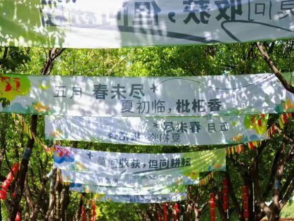 第十二届夏阳枇杷文化旅游节暨优质农产品田园集市活动开幕