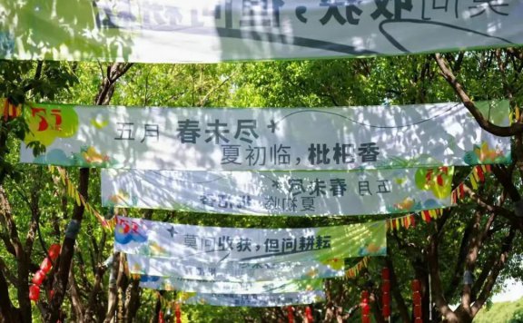 第十二届夏阳枇杷文化旅游节暨优质农产品田园集市活动开幕