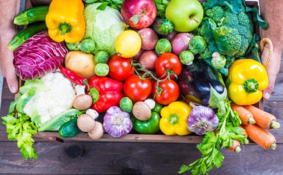 优化生鲜农产品冷链现代化物流体系新解