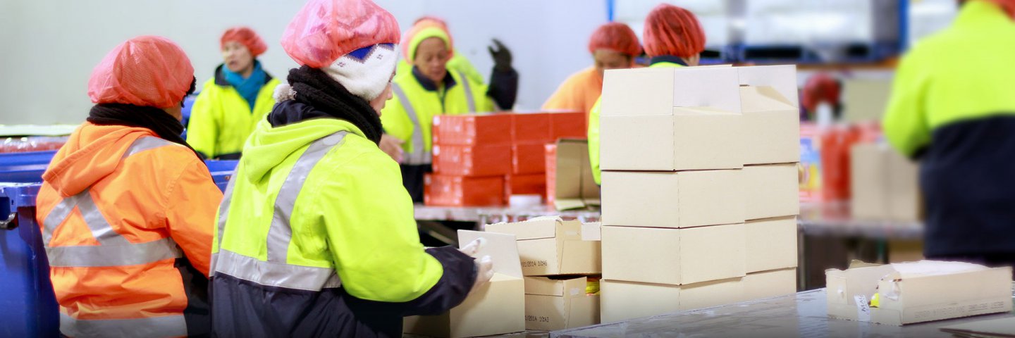 农产品冷链物流