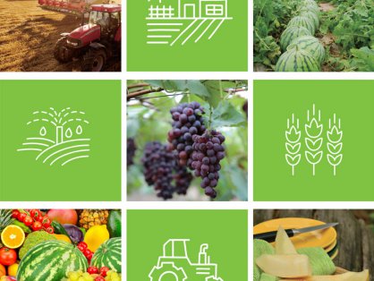 冷链物流网谈生鲜冷链食材加工配送中心必须具备的功能和服务