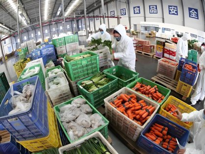 冷链仓库分拣一般是干啥的