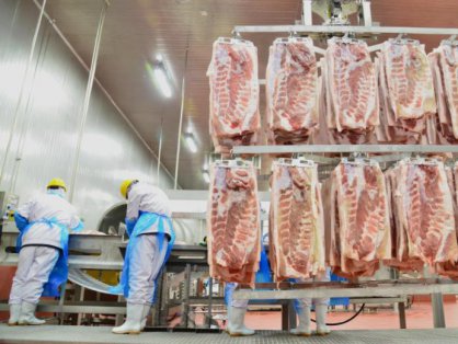 冷链运输猪肉的好处和坏处