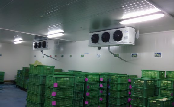 保鲜冷库温度达到设定范围后会自动停机吗？