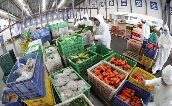 冷链仓库分拣一般是干啥的