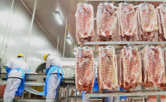 冷链运输猪肉的好处和坏处