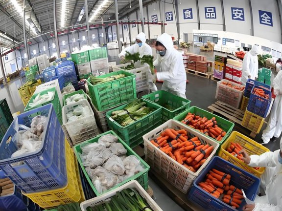 冷链仓库分拣一般是干啥的