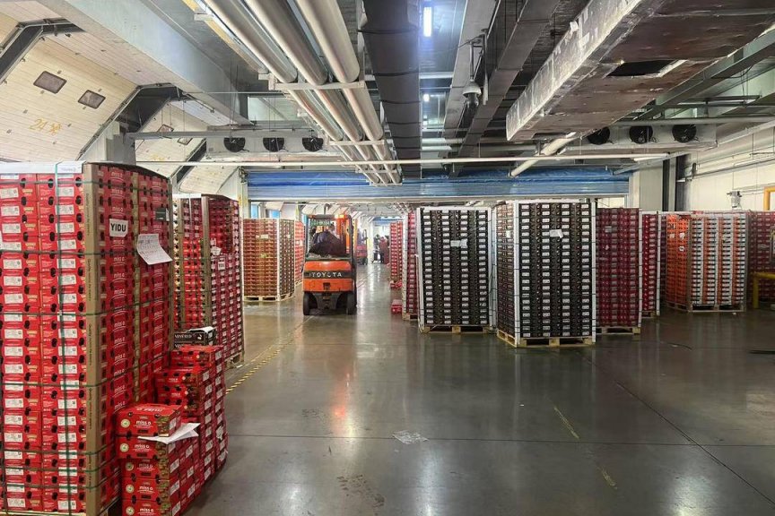 大连沿海最大保税冷链物流中心作业忙