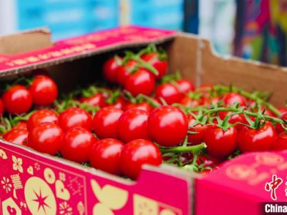 春节餐桌背后的冷链物流加速度