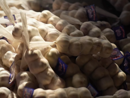 中农七朵持续升级智能仓储系统 加速农业现代化核心驱动力