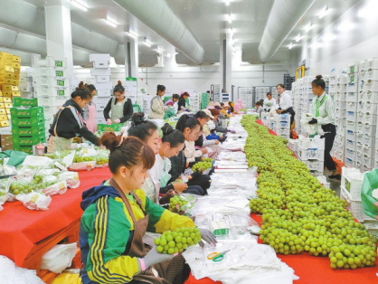 宾川县打造世界一流水果之乡