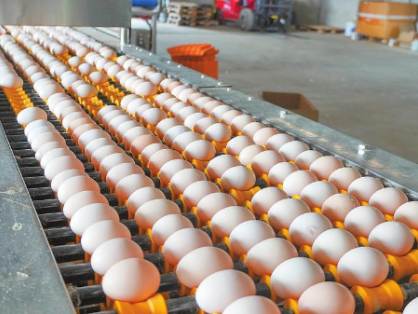 建水县禽蛋产业提品质扩产能