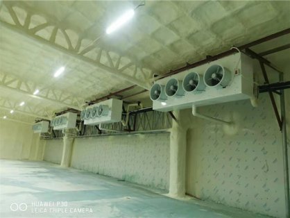 桃子保鲜冷库建造一体化方案