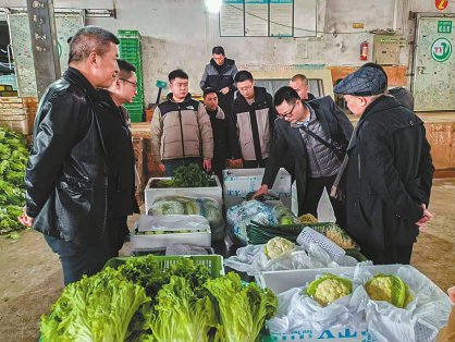 高原萝卜产业星创天地点燃“双创”星火燎原科技农业