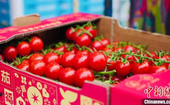 春节餐桌背后的冷链物流加速度