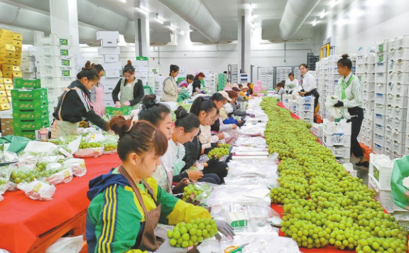 宾川县打造世界一流水果之乡