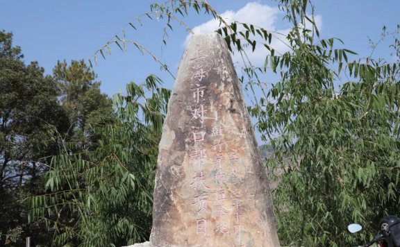 墨江种植基地管护忙 甜竹笋产业“冒富尖”