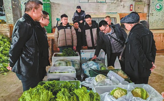 高原萝卜产业星创天地点燃“双创”星火燎原科技农业