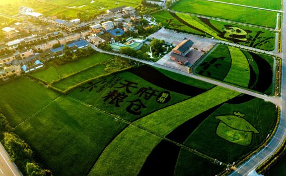 崇州一批农业领域投资机会清单发布