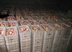 被困在冷库的苹果，如何突围？