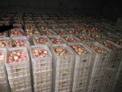 被困在冷库的苹果，如何突围？