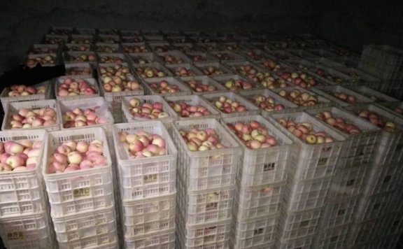 被困在冷库的苹果，如何突围？